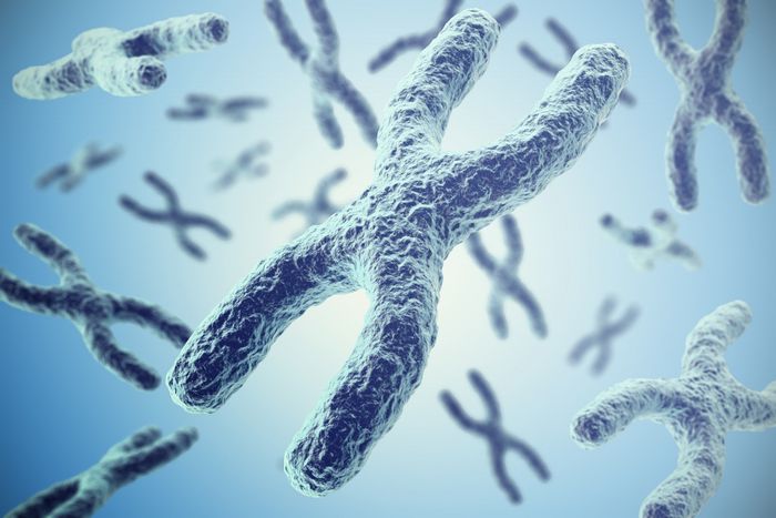 Image d'illustration d'un chromosome