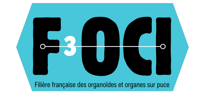 Logo de l'organisation